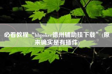 必看教程“hhpoker德州辅助挂下载	”(原来确实是有插件)