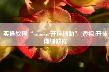 实操教程“wepoker开挂辅助”(透视)开挂详细教程