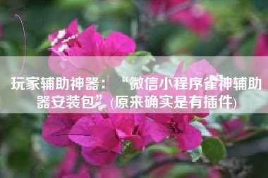 玩家辅助神器：“微信小程序雀神辅助器安装包”(原来确实是有插件)