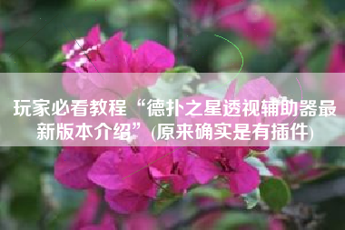 玩家必看教程“德扑之星透视辅助器最新版本介绍”(原来确实是有插件)