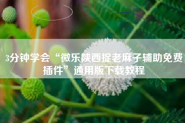 3分钟学会“微乐陕西捉老麻子辅助免费插件”通用版下载教程