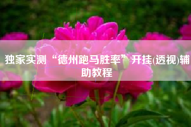 独家实测“德州跑马胜率	”开挂(透视)辅助教程