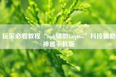 玩家必看教程“wpk辅助kaq665	”科技辅助神器手机版