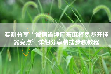实测分享“微信雀神广东麻将免费开挂器亮点”详细分享装挂步骤教程