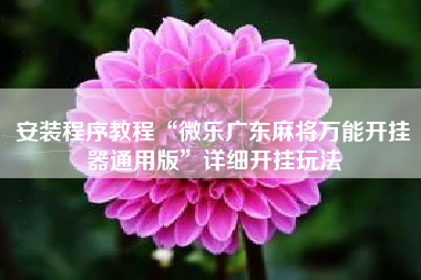 安装程序教程“微乐广东麻将万能开挂器通用版	”详细开挂玩法