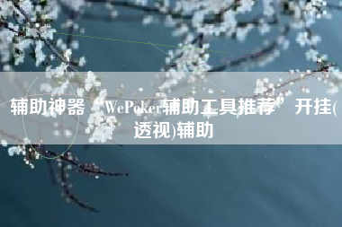 辅助神器“WePoker辅助工具推荐”开挂(透视)辅助