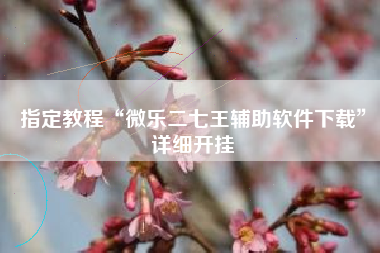 指定教程“微乐二七王辅助软件下载”详细开挂