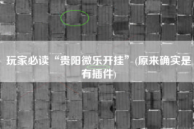 玩家必读“贵阳微乐开挂	”(原来确实是有插件)