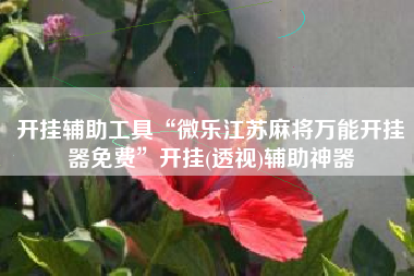 开挂辅助工具“微乐江苏麻将万能开挂器免费”开挂(透视)辅助神器