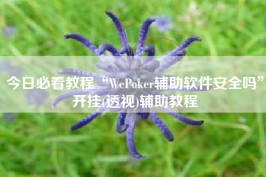 今日必看教程“WePoker辅助软件安全吗”开挂(透视)辅助教程