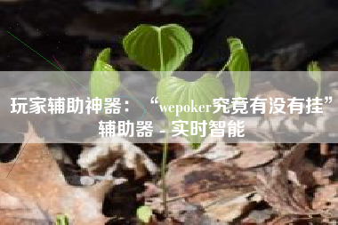 玩家辅助神器：“wepoker究竟有没有挂”辅助器 - 实时智能