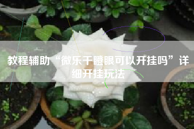 教程辅助“微乐干瞪眼可以开挂吗	”详细开挂玩法