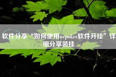 软件分享“如何使用wepoker软件开挂”详细分享装挂