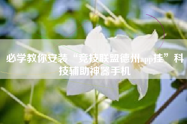 必学教你安装“竞技联盟德州app挂”科技辅助神器手机