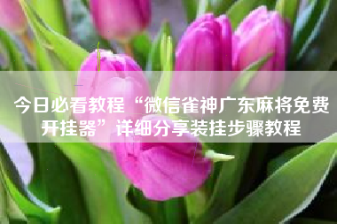 今日必看教程“微信雀神广东麻将免费开挂器	”详细分享装挂步骤教程