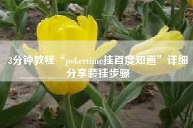 3分钟教程“pokertime挂百度知道”详细分享装挂步骤