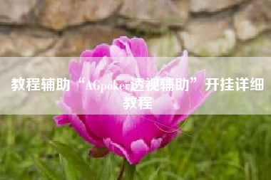 教程辅助“AGpoker透视辅助”开挂详细教程