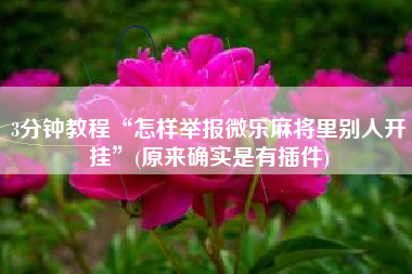 3分钟教程“怎样举报微乐麻将里别人开挂”(原来确实是有插件)