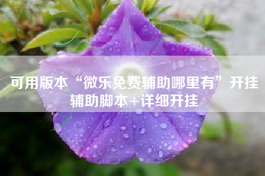 可用版本“微乐免费辅助哪里有”开挂辅助脚本+详细开挂