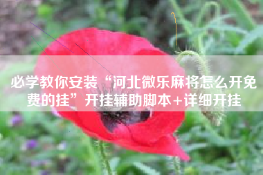 必学教你安装“河北微乐麻将怎么开免费的挂	”开挂辅助脚本+详细开挂