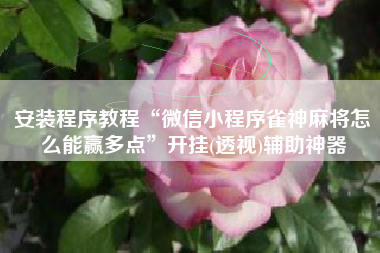 安装程序教程“微信小程序雀神麻将怎么能赢多点”开挂(透视)辅助神器