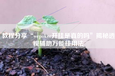 教程分享“wepoker开挂是真的吗”揭秘透视辅助万能挂用法