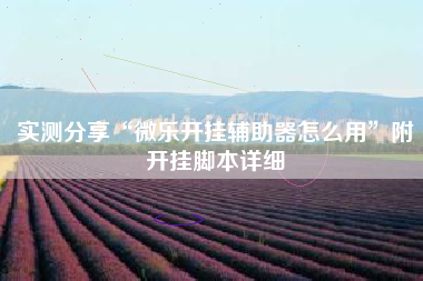 实测分享“微乐开挂辅助器怎么用”附开挂脚本详细