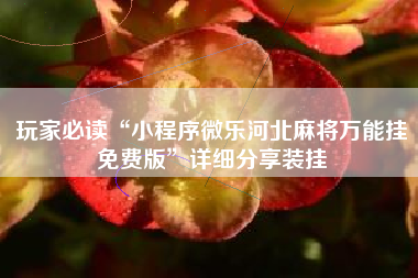 玩家必读“小程序微乐河北麻将万能挂免费版	”详细分享装挂