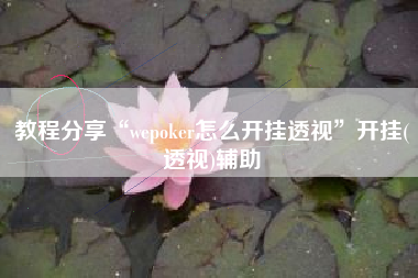 教程分享“wepoker怎么开挂透视”开挂(透视)辅助