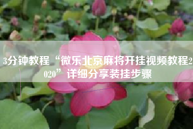 3分钟教程“微乐北京麻将开挂视频教程2020”详细分享装挂步骤