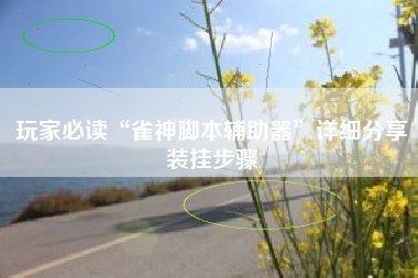 玩家必读“雀神脚本辅助器”详细分享装挂步骤