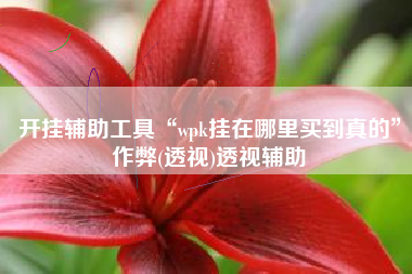 开挂辅助工具“wpk挂在哪里买到真的	”作弊(透视)透视辅助