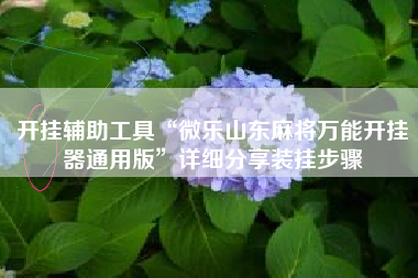 开挂辅助工具“微乐山东麻将万能开挂器通用版”详细分享装挂步骤