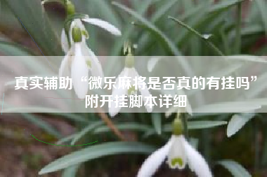 真实辅助“微乐麻将是否真的有挂吗”附开挂脚本详细