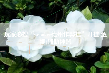 玩家必搜“wepoker德州作弊挂”开挂(透视)辅助神器