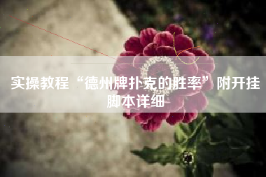 实操教程“德州牌扑克的胜率”附开挂脚本详细