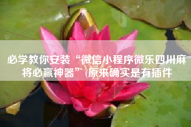 必学教你安装“微信小程序微乐四川麻将必赢神器	”(原来确实是有插件