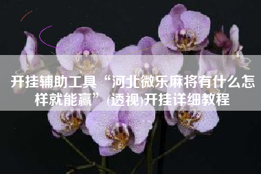 开挂辅助工具“河北微乐麻将有什么怎样就能赢	”(透视)开挂详细教程