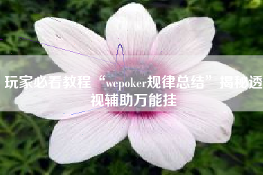 玩家必看教程“wepoker规律总结”揭秘透视辅助万能挂