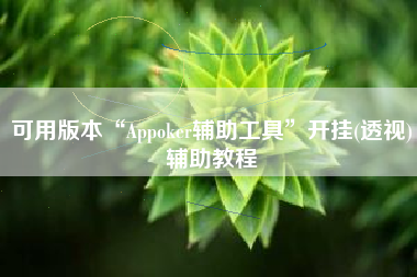 可用版本“Appoker辅助工具	”开挂(透视)辅助教程