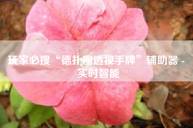 玩家必搜“德扑圈透视手牌”辅助器 - 实时智能