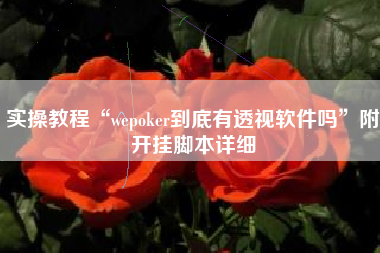 实操教程“wepoker到底有透视软件吗	”附开挂脚本详细
