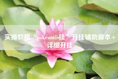 实操教程“pokemmo挂”开挂辅助脚本+详细开挂
