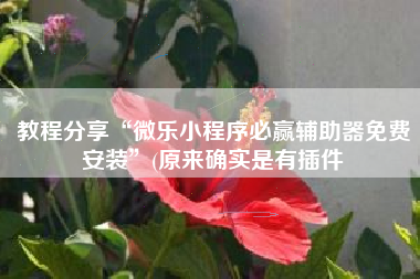 教程分享“微乐小程序必赢辅助器免费安装	”(原来确实是有插件