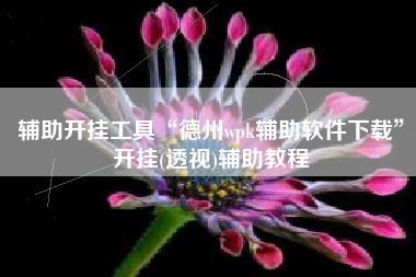 辅助开挂工具“德州wpk辅助软件下载”开挂(透视)辅助教程