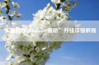 实操教程“wepoker辅助	”开挂详细教程