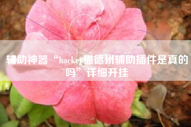 辅助神器“hacker猫德州辅助插件是真的吗	”详细开挂