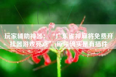 玩家辅助神器：“广东雀神麻将免费开挂器游戏亮点”(原来确实是有插件