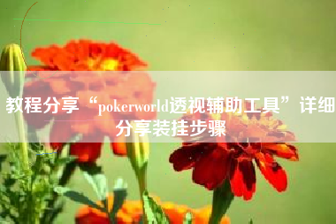 教程分享“pokerworld透视辅助工具”详细分享装挂步骤