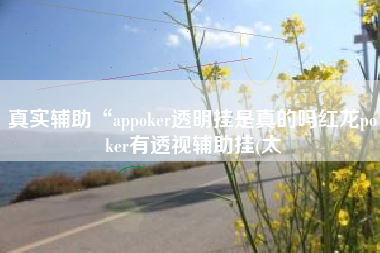 真实辅助“appoker透明挂是真的吗红龙poker有透视辅助挂(太